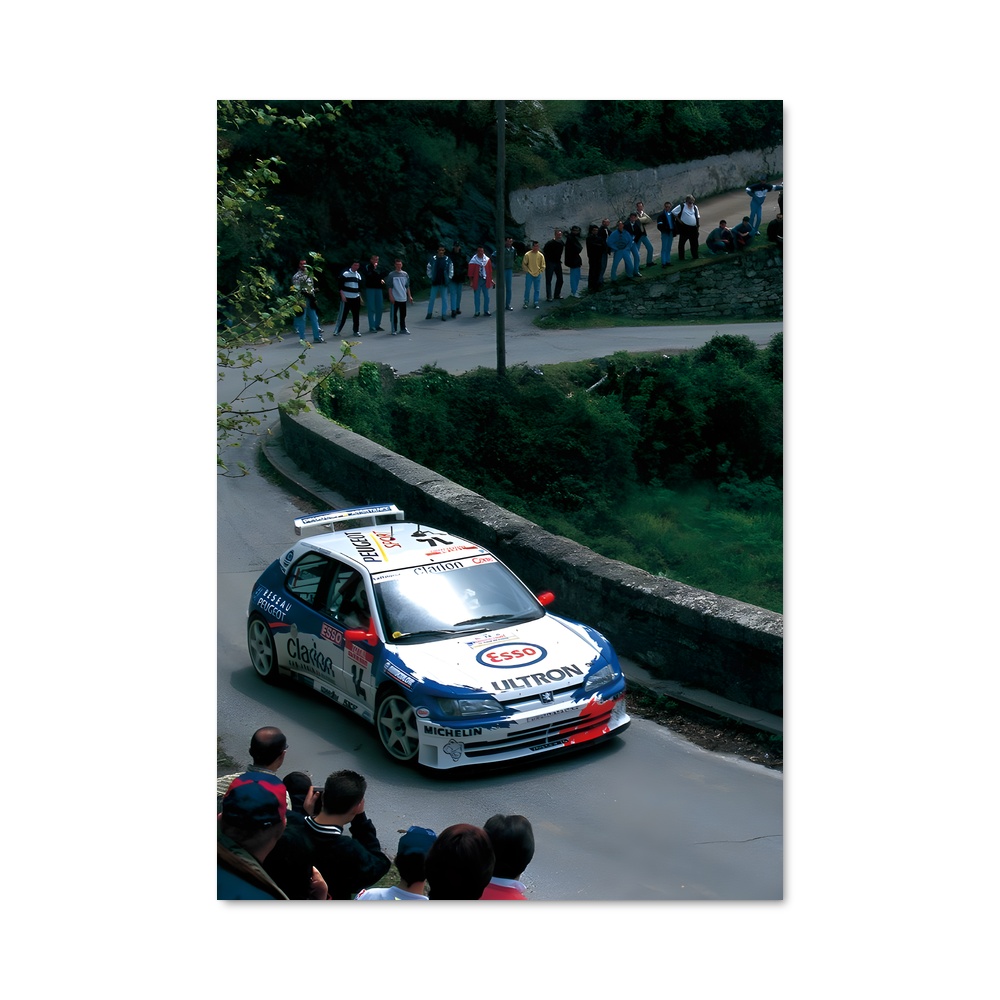 Poster Rallye en Folie